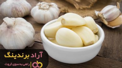 Garlic-Proven-Health-Benefits-and-Uses