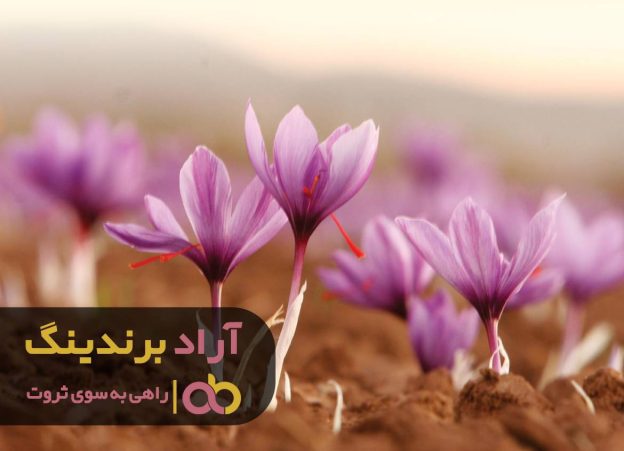 معجزه ای به نام زعفران راه گشای کسب و کارم شد