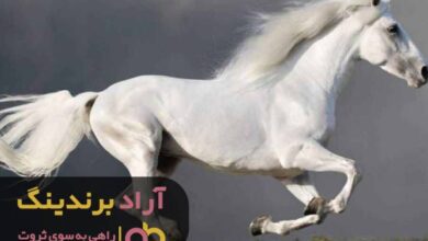 A white horse running

Description automatically generated with low confidence
