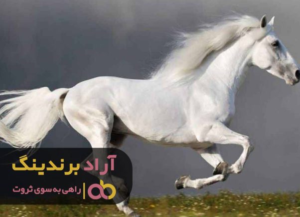 A white horse running Description automatically generated with low confidence