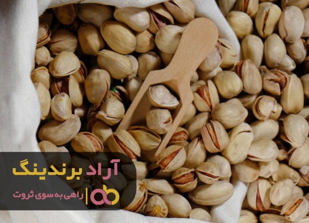 روی ثروت متمرکزم بودم و بدستش آوردم